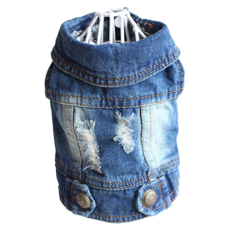 Pawvibe Denim Jacket – Cool & Comfy Jean Style for Trendy Pups