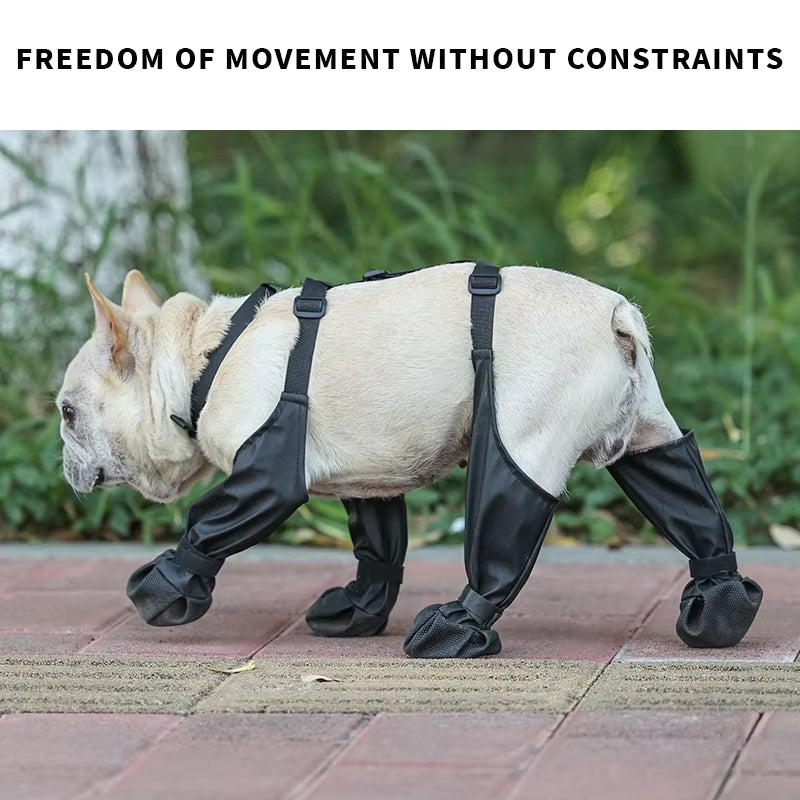 Pawguard Pro Dog Boots – Waterproof, Non-Slip Protection for Every Step