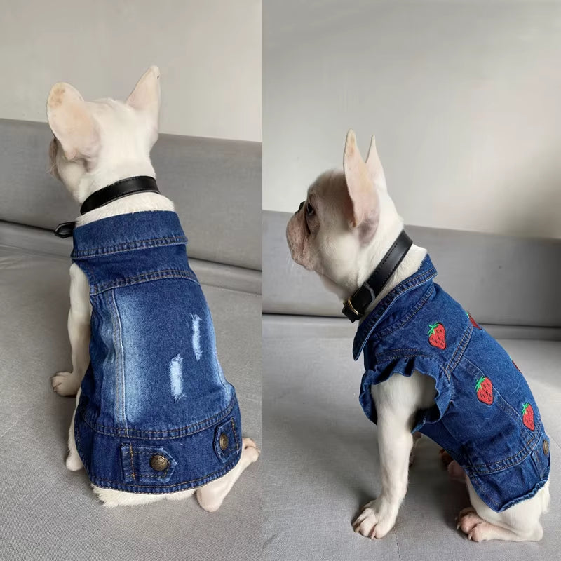 Pawvibe Denim Jacket – Cool & Comfy Jean Style for Trendy Pups