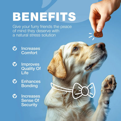 Calming Chews for Dogs Anxiety Dog Calming Treats with Melatonin Valerian Root