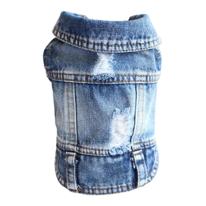 Pawvibe Denim Jacket – Cool & Comfy Jean Style for Trendy Pups